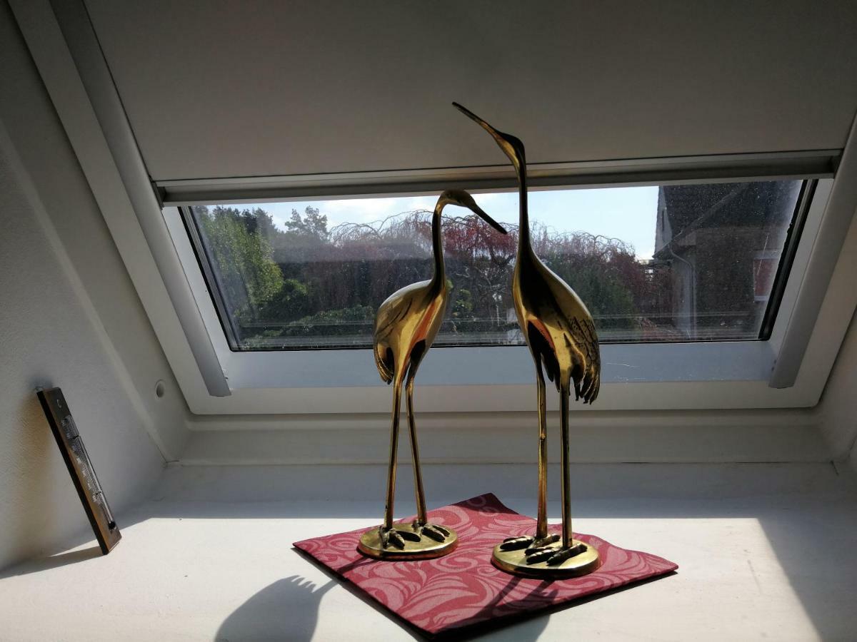 Ardea Alba Wunstorf Exterior foto